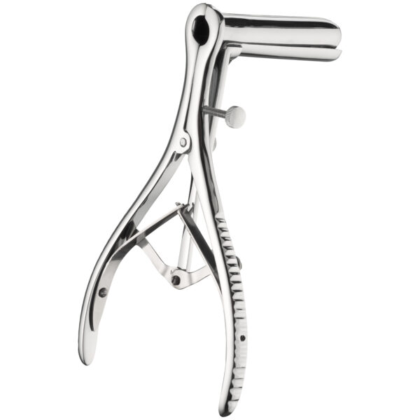 Master Series Steel Anal Speculum - Sølv