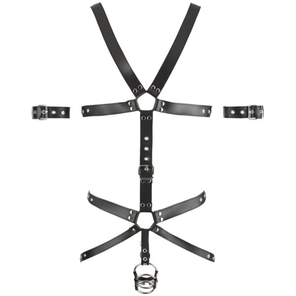 Zado Harness med Triple Penisring - Sort - L/XL