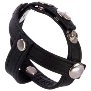 CalExotics COLT Læder C/B Strop med H-Piece Divider - Sort