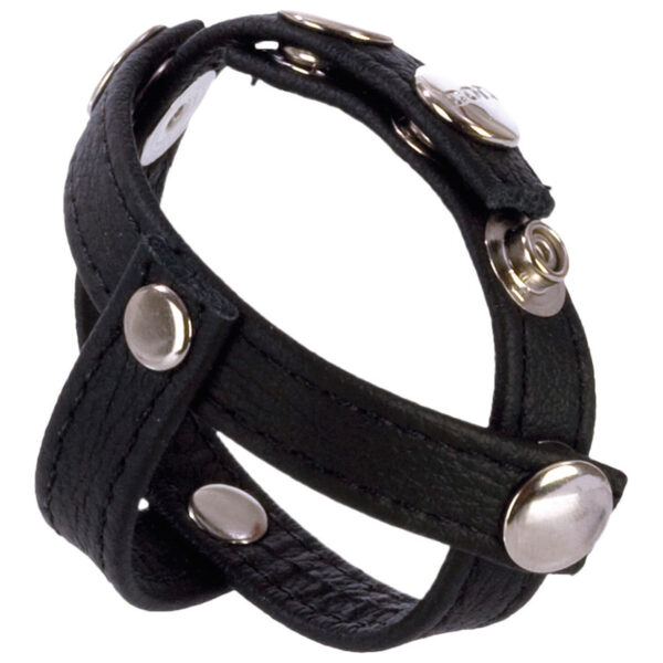 CalExotics COLT Læder C/B Strop med H-Piece Divider - Sort