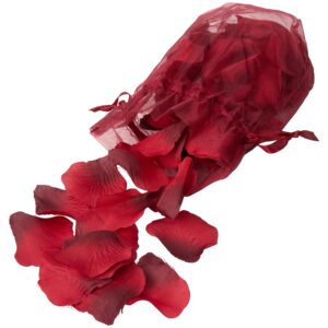 You & Me On A Bed Of Roses! Rosenblade - Red